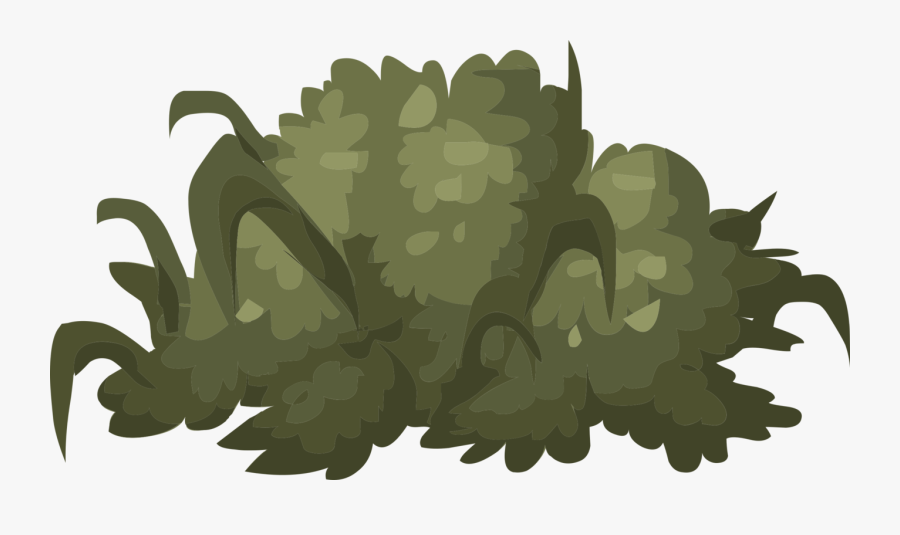 Bush, Shrub, Green, Plant, Nature, Greenery, Lush - Gambar Png Alat Berkebun Kartun, Transparent Clipart