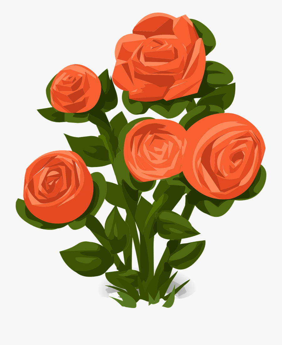 Rose Bush Roses Orange - Rose Bush Clipart Png, Transparent Clipart