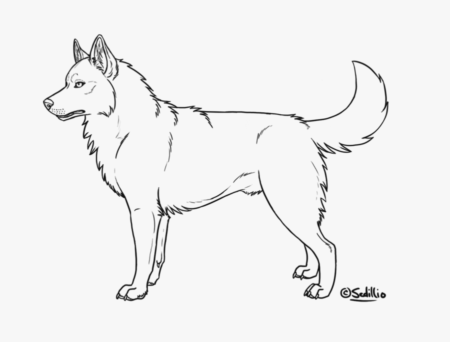 Realistic Husky Clipart - Husky Drawing, Transparent Clipart