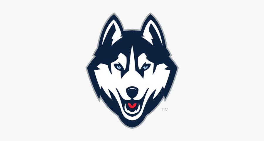 Husky Png - Connecticut Huskies Logo, Transparent Clipart