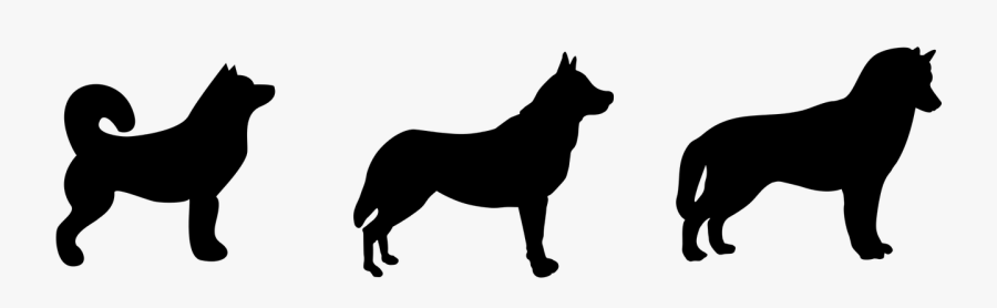 Husky, Dog, Silhouette, Black - Dog, Transparent Clipart