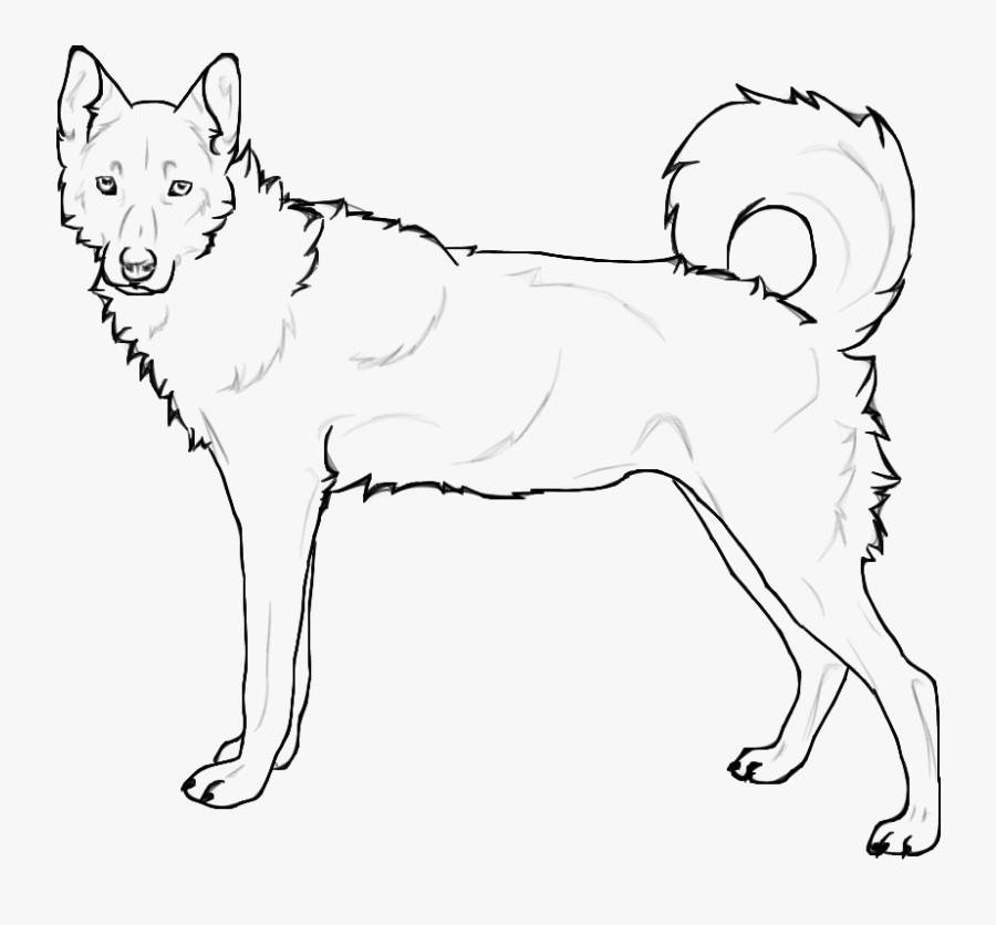 Siberian Husky Coloring Page , Free Transparent Clipart - ClipartKey