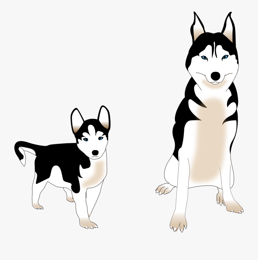 Dog Siberian Husky Puppy Free Picture - Husky Siberiano Vector Png, Transparent Clipart