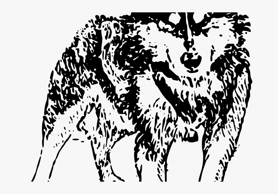 Siberian Husky, Transparent Clipart