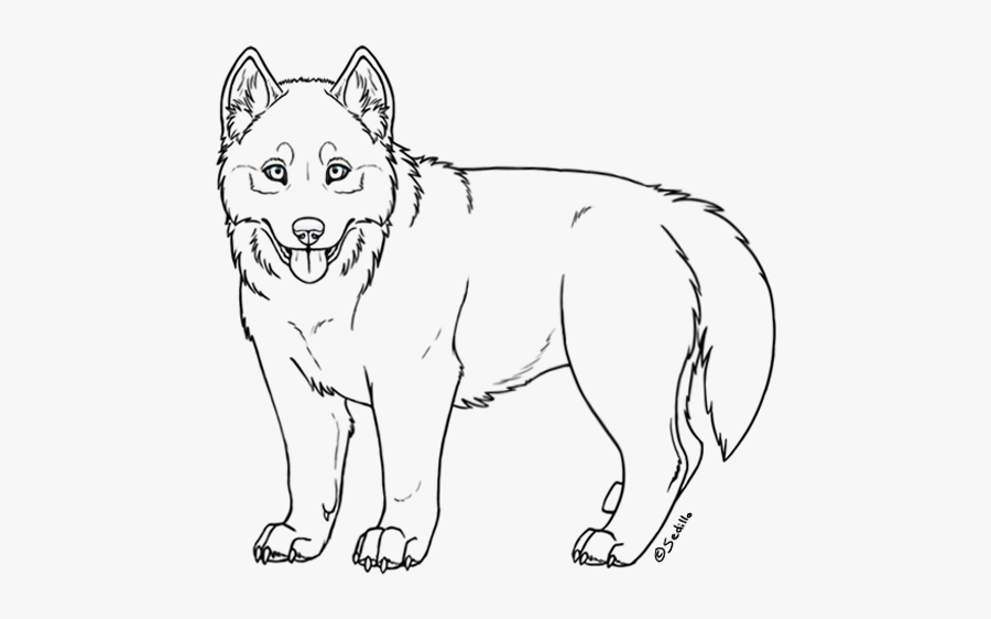 Free Siberian Husky Puppy Lineart By Sedillo Kennels - Easy Drawings Of A Husky, Transparent Clipart