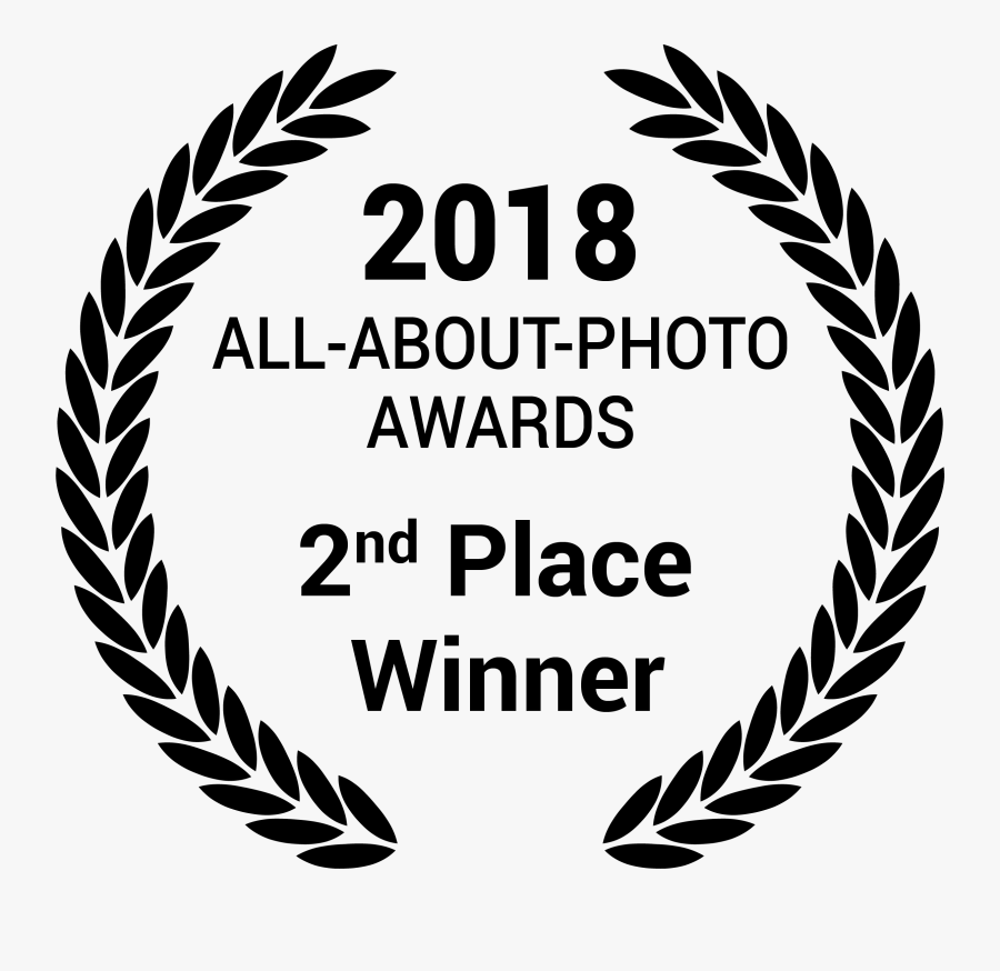 Laurel Leaf Vector Png, Transparent Clipart