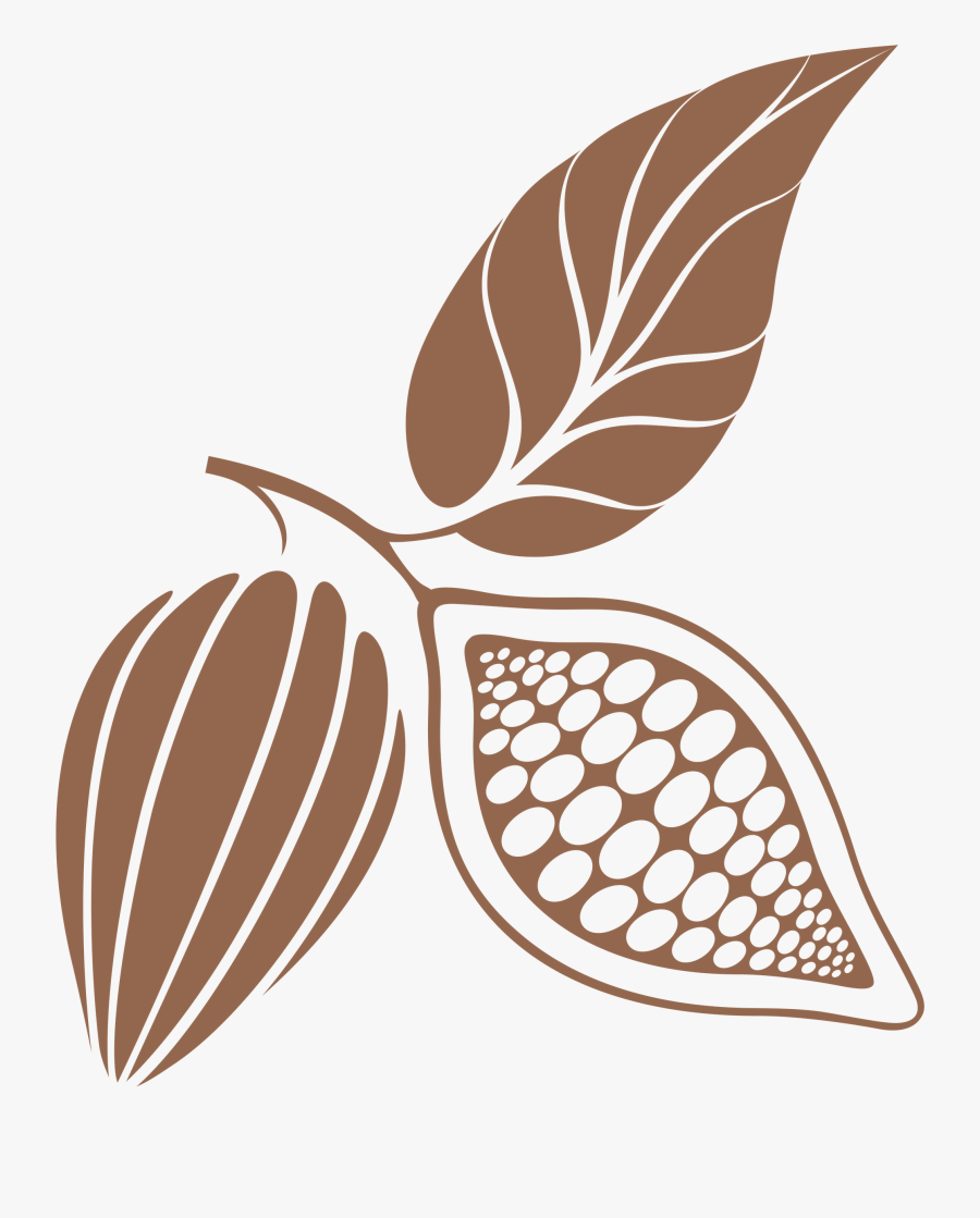 Coffee Bean - Cacao Leaves Vector, Transparent Clipart