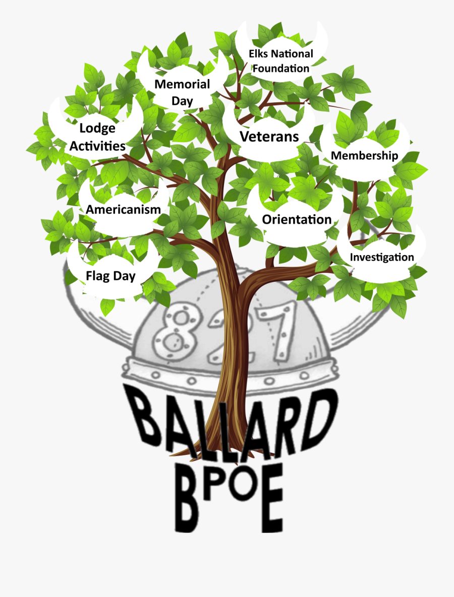 Transparent Background Tree Cartoon, Transparent Clipart