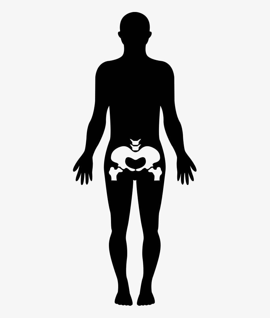Hips Human Body Part - Human Body Silhouette Png, Transparent Clipart
