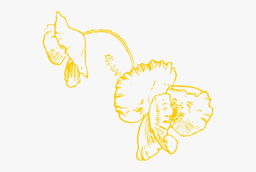 Dead Flower Coloring Page, Transparent Clipart
