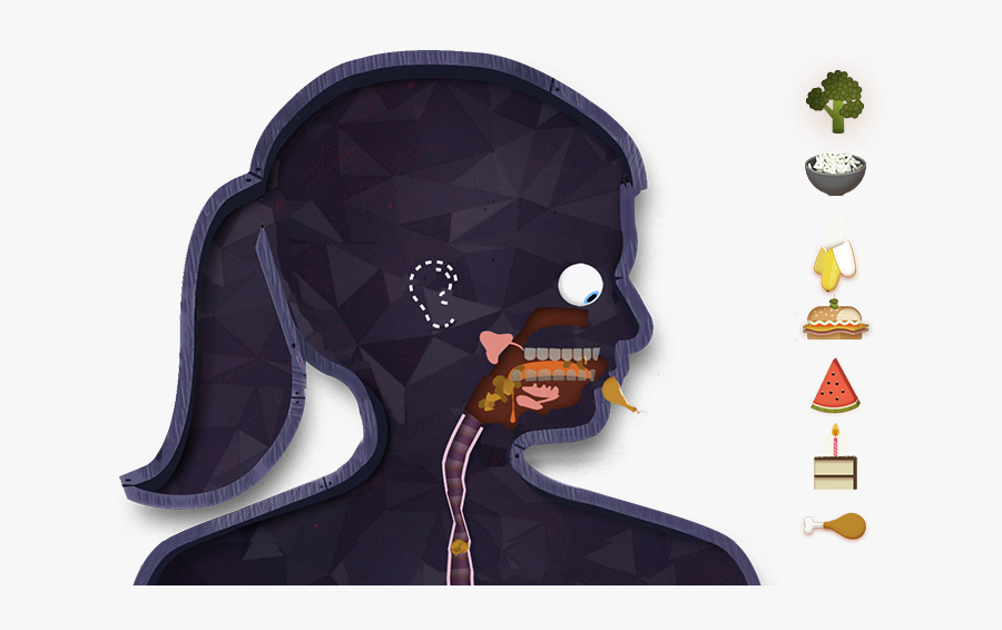 Feeding The Body - Human Body Tinybop, Transparent Clipart