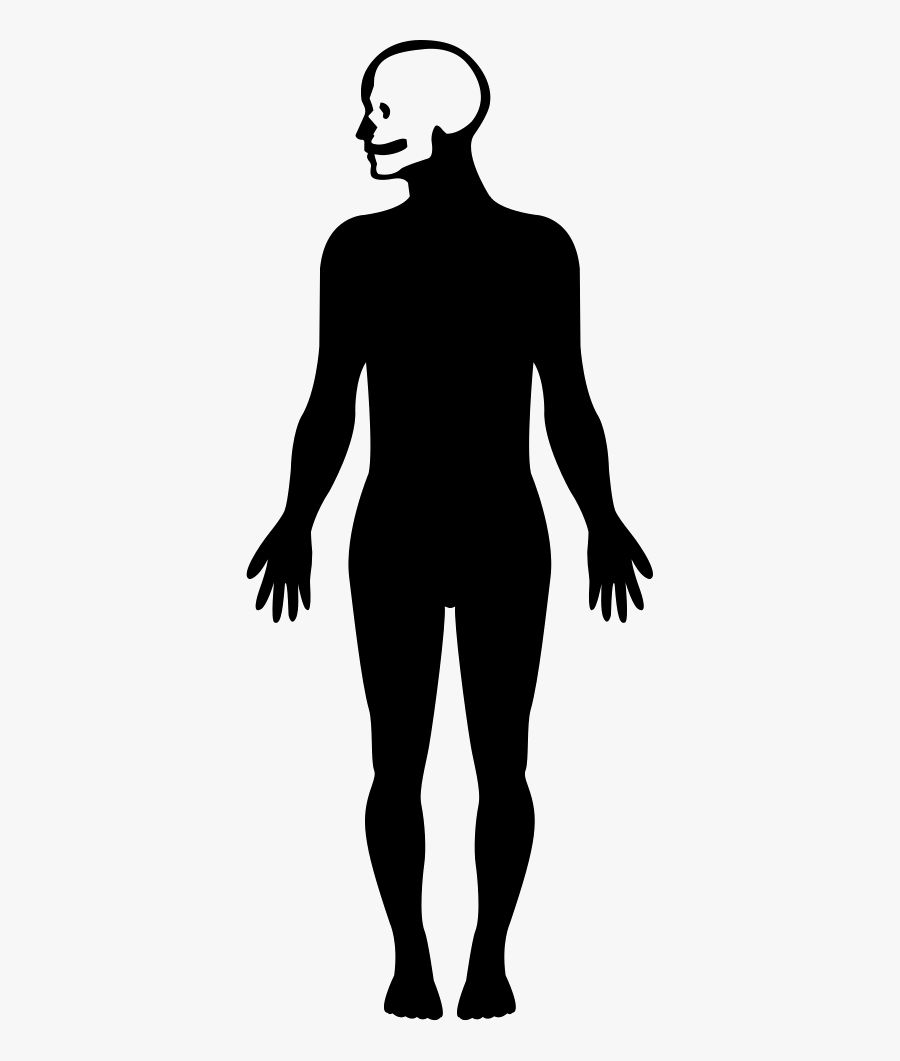 Human Body Silhouette With Focus On The Head Imagenes De El Cuerpo Humano La Silueta Free Transparent Clipart Clipartkey