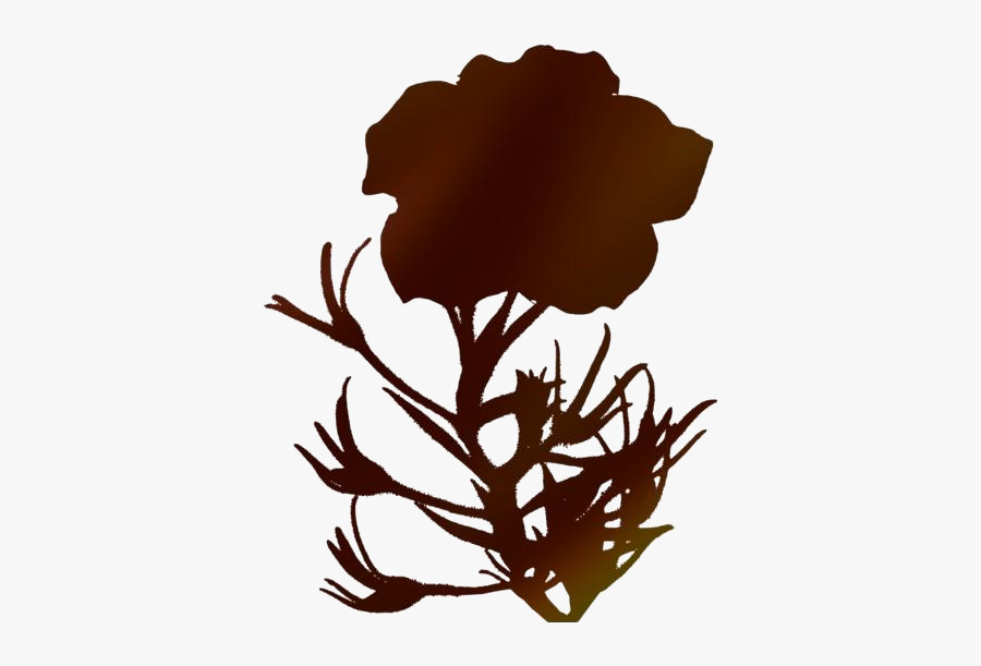 Transparent Colorful Petunia Flowers Clipart - Petunia Flower White Background, Transparent Clipart