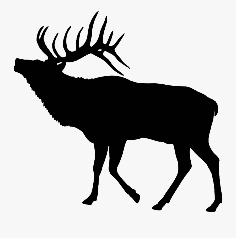 Transparent Bull Vector Png - Elk Clipart Black And White, Transparent Clipart