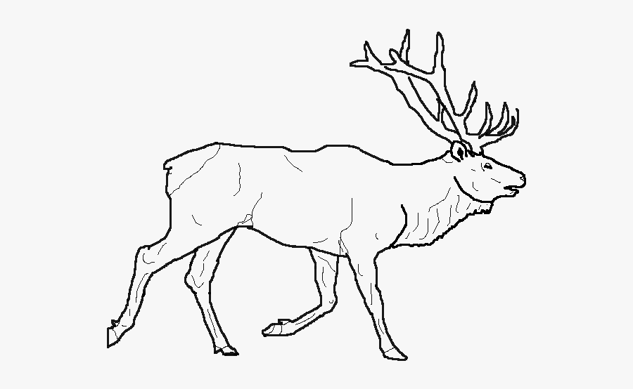 Collection Of Drawing - Line Art, Transparent Clipart