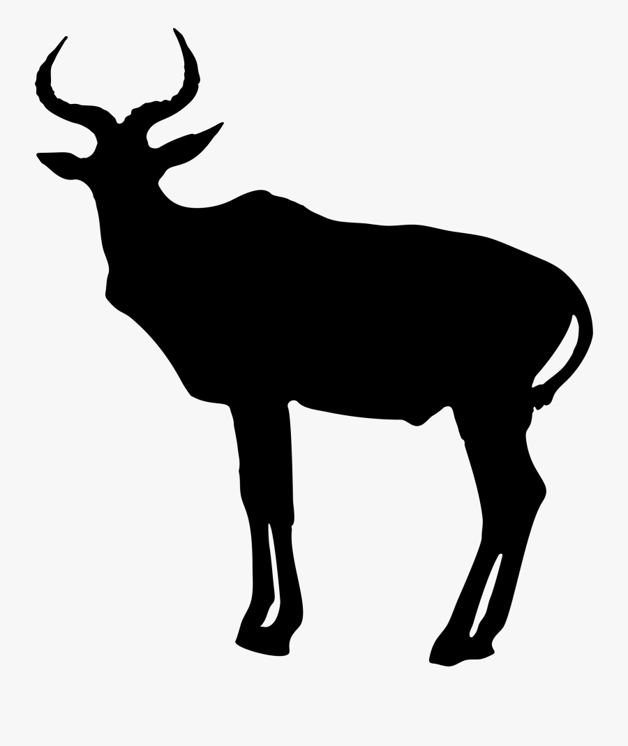 Elk,wildlife,silhouette - Antelope Silhouette, Transparent Clipart