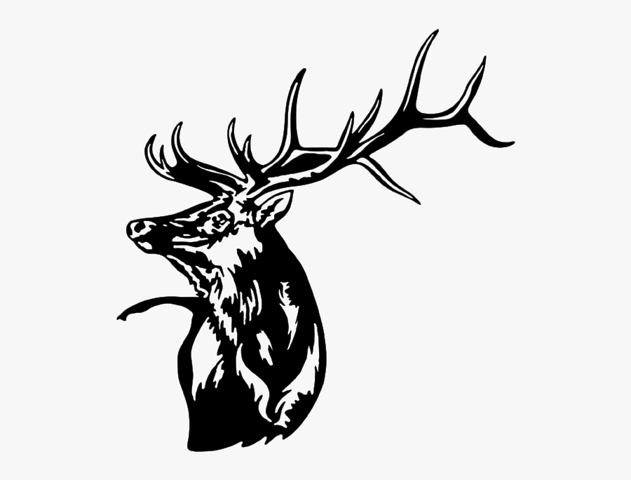 Bull Elk Head Metal Wall Art Metal Expression - Running Of The Elk 2019 Half Marathon Medal, Transparent Clipart