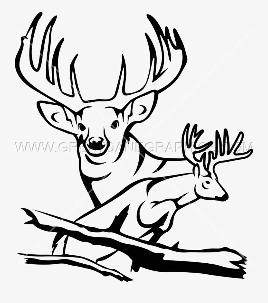 Transparent Buck Clipart Black And White - Elk, Transparent Clipart