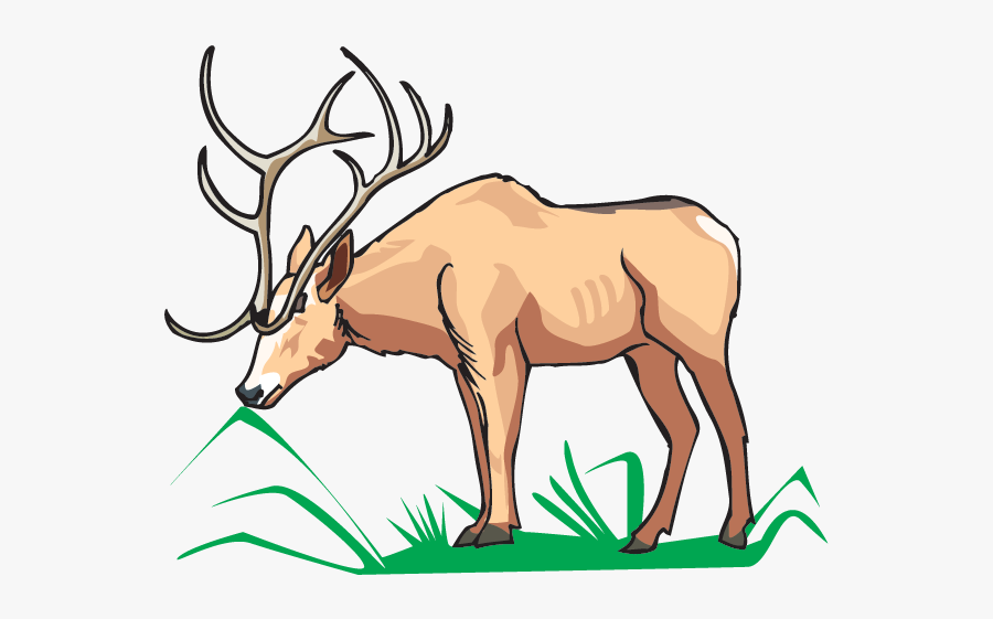 Elk Eating - Antelope Eating Clip Art, Transparent Clipart