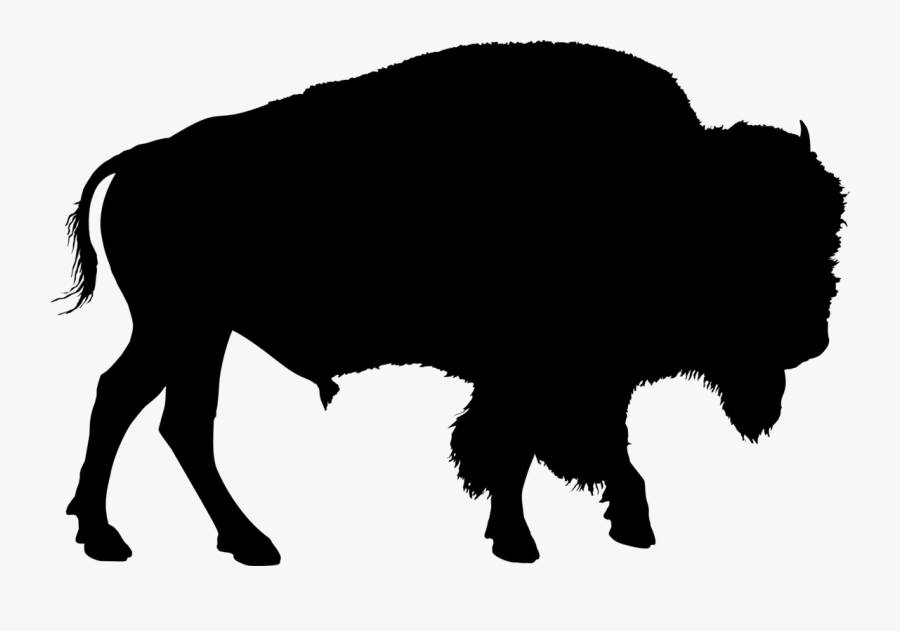 Buffalo Silhouette - Bison Silhouette, Transparent Clipart