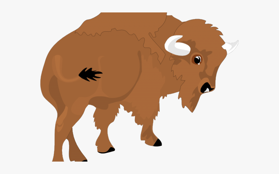 Vector Library Stock Water Buffalo Free On - Cartoon Bison, Transparent Clipart