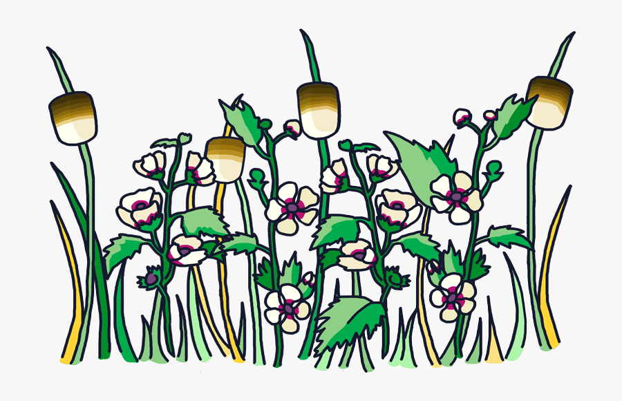 Clip Art, Transparent Clipart