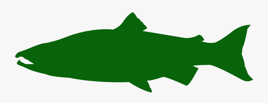 Salmon Silhouette, Transparent Clipart