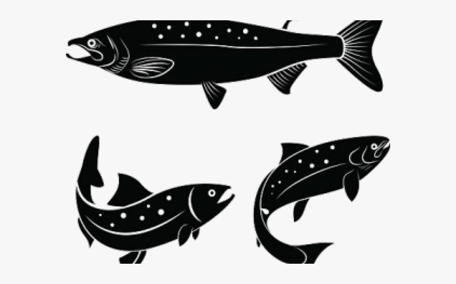 Salmon Clipart Fish Body - Salmon Logo, Transparent Clipart