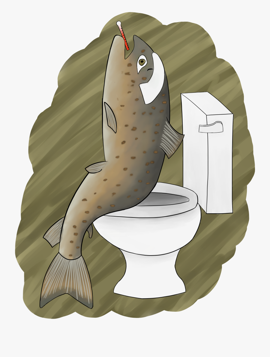 A Salmon Named Ella Who Has Salmonella - Salmon Named Ella, Transparent Clipart