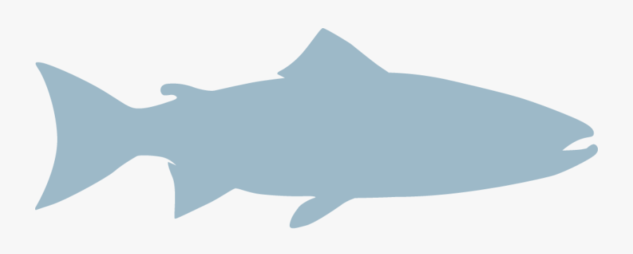 Cartilaginous Fish, Transparent Clipart
