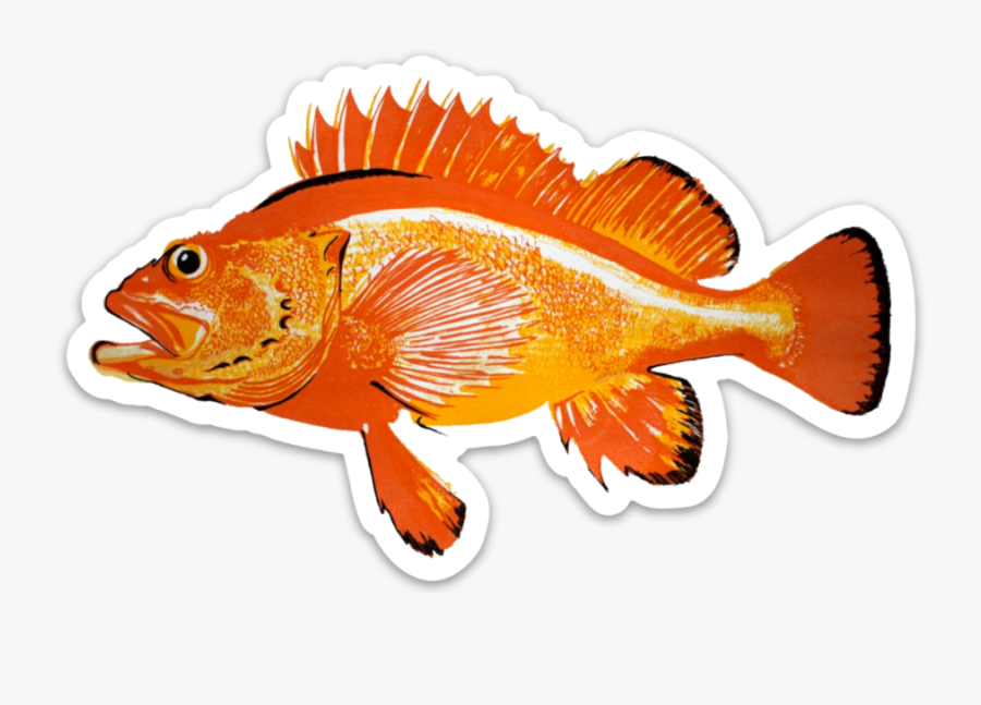 Carp That Is Based On Magikarp, Transparent Clipart