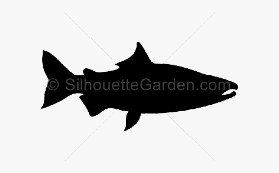Transparent Salmon Clipart - Life Quotes, Transparent Clipart