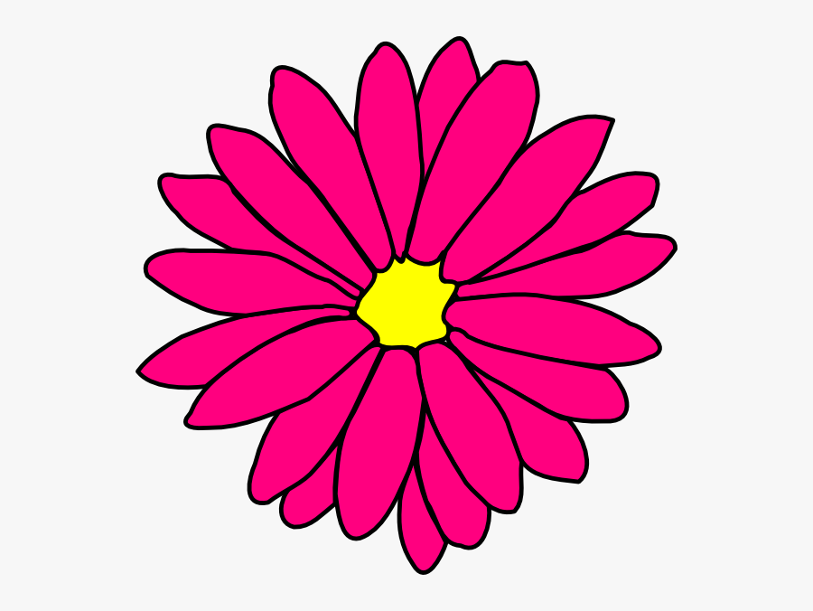 Pink Daisy Flower Clipart, Transparent Clipart