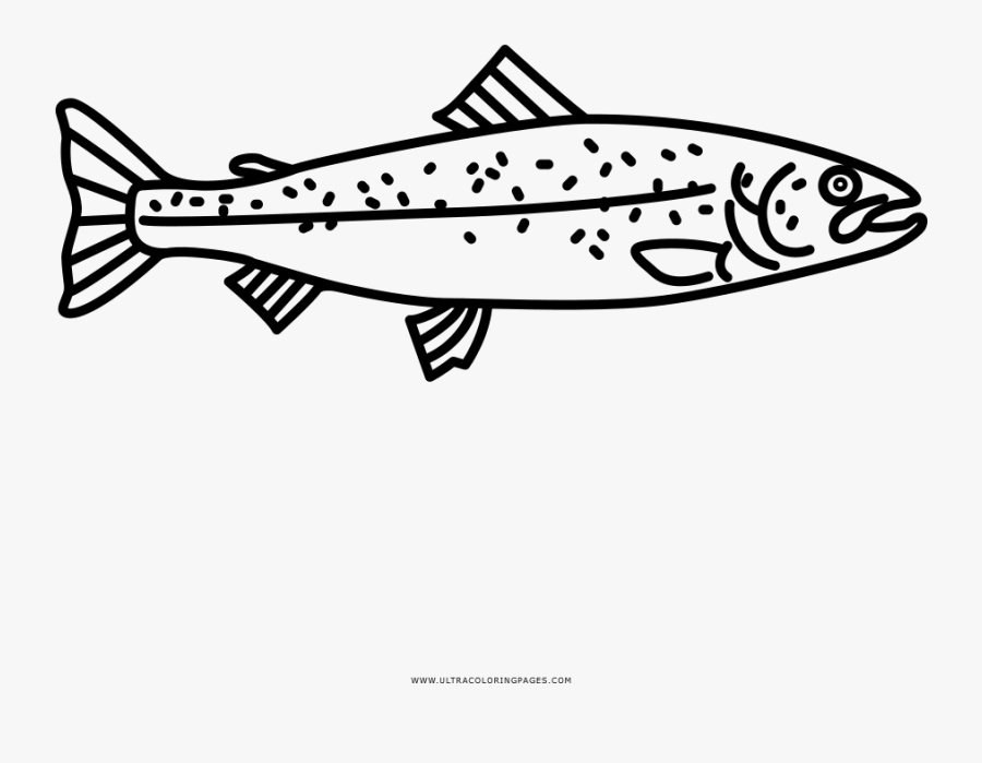 Salmon Coloring Page - Illustration, Transparent Clipart