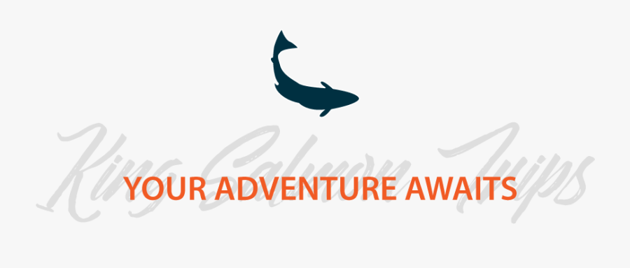 Kingsalmon Header, Transparent Clipart