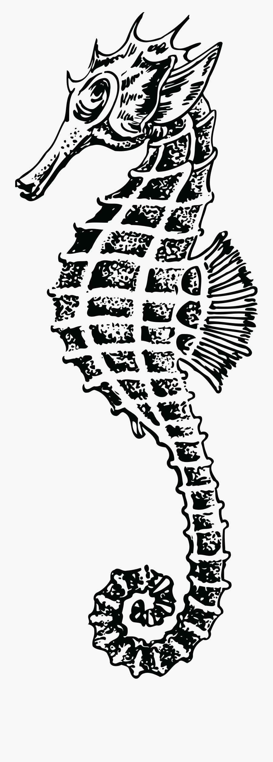 Seahorse - Black And White Seahorse Png, Transparent Clipart