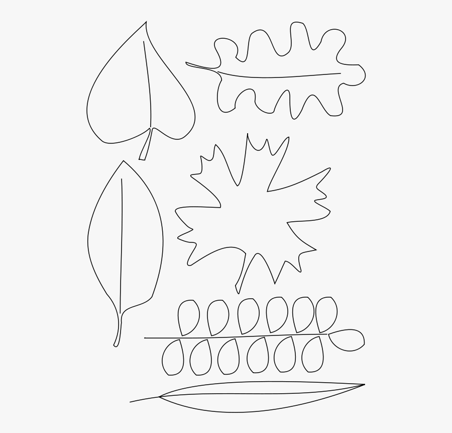 Free Clip Art "leafs - Desenho De Folhas De Árvores, Transparent Clipart