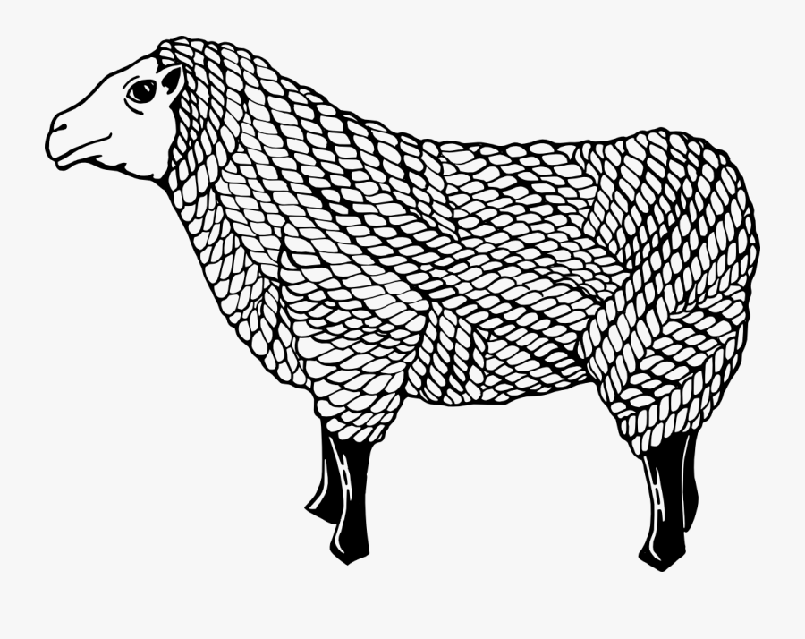 Illustration, Transparent Clipart