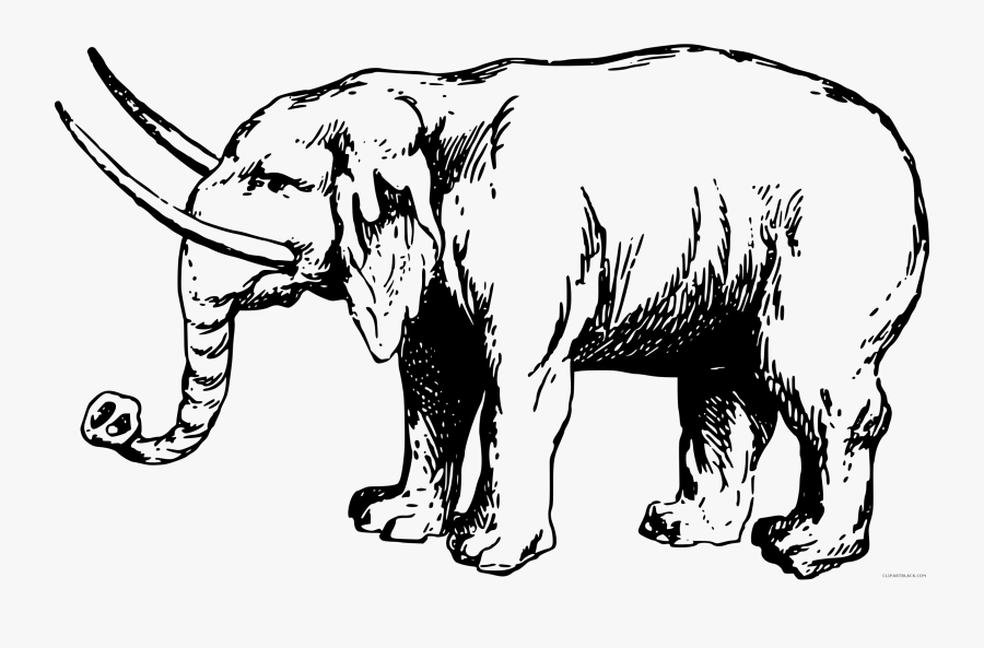 Gajah Kartun Hitam Putih, Transparent Clipart