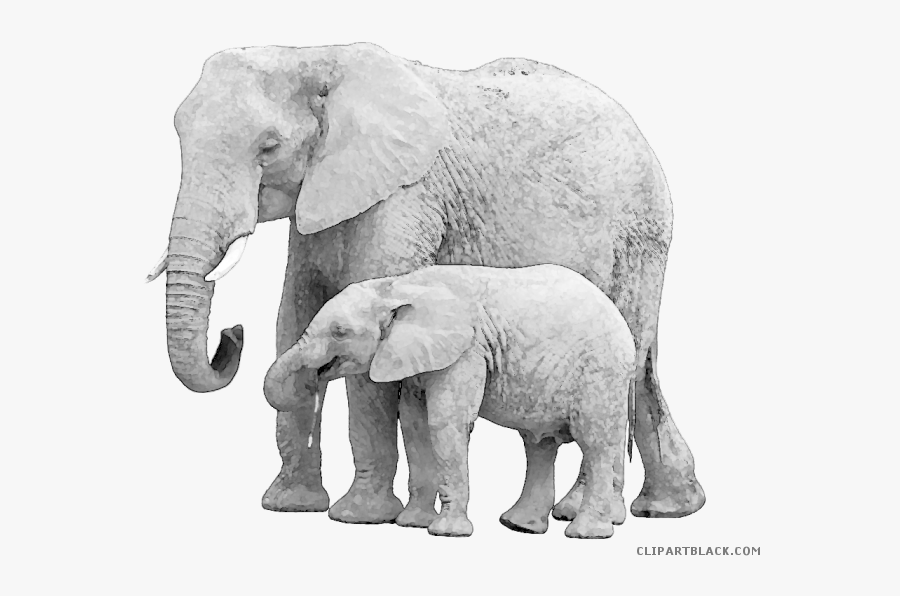 Elephant Clipart Baby Animal - Describe An Elephant, Transparent Clipart