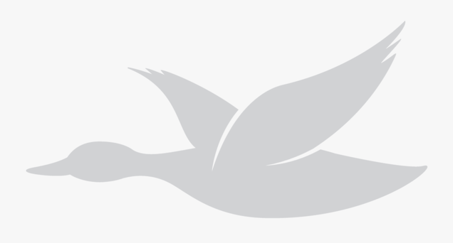 Image, Transparent Clipart