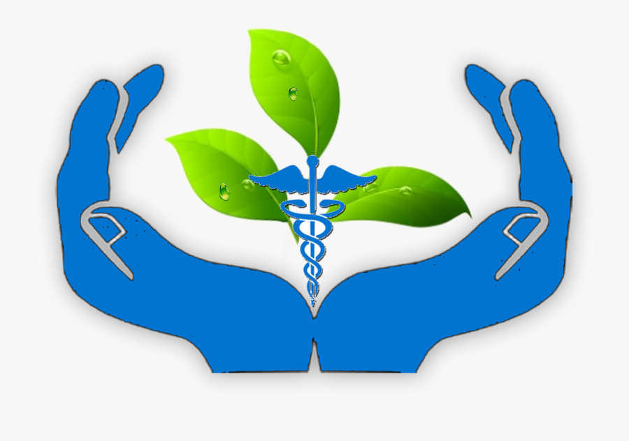 Traditional Logo Medical Symbol, Transparent Clipart
