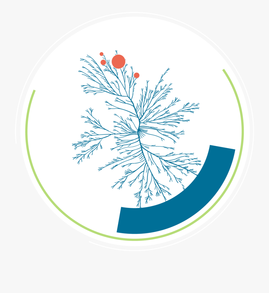 Circle, Transparent Clipart