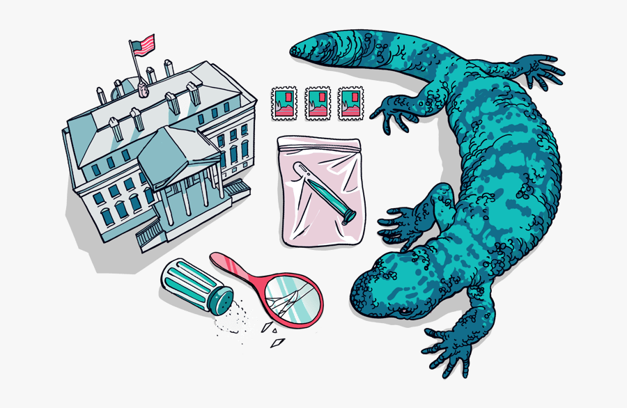 Clip Art, Transparent Clipart