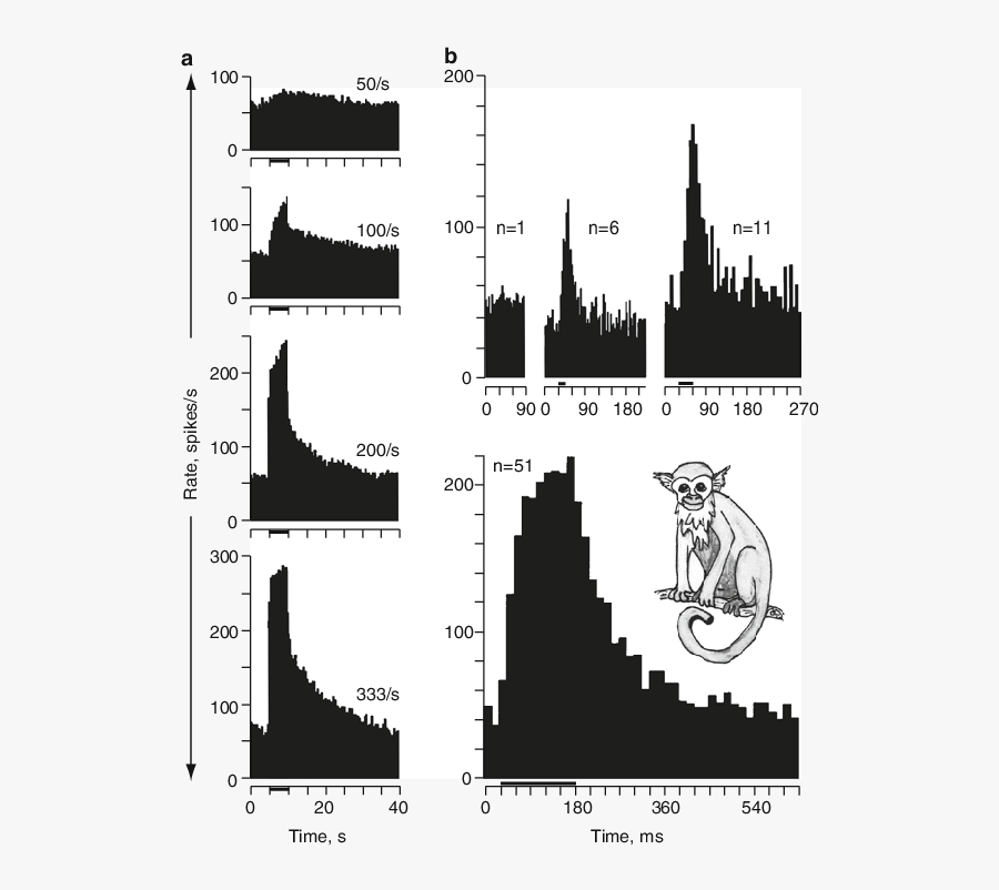 9 Effects Of Shock Train Parameters On The Response - Cartoon, Transparent Clipart
