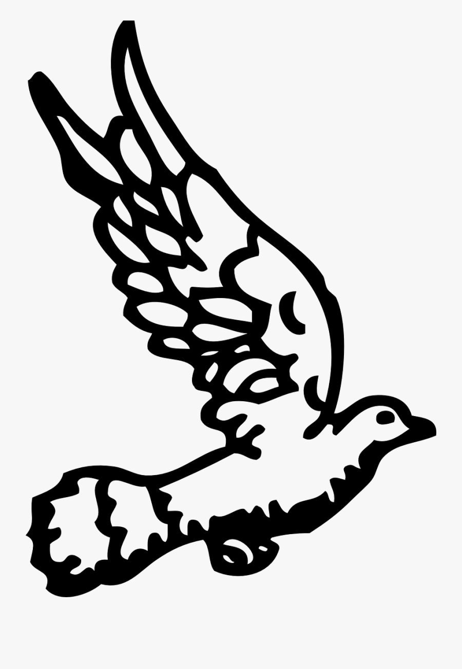 Dove 2 - Colomba Bianco E Nero, Transparent Clipart