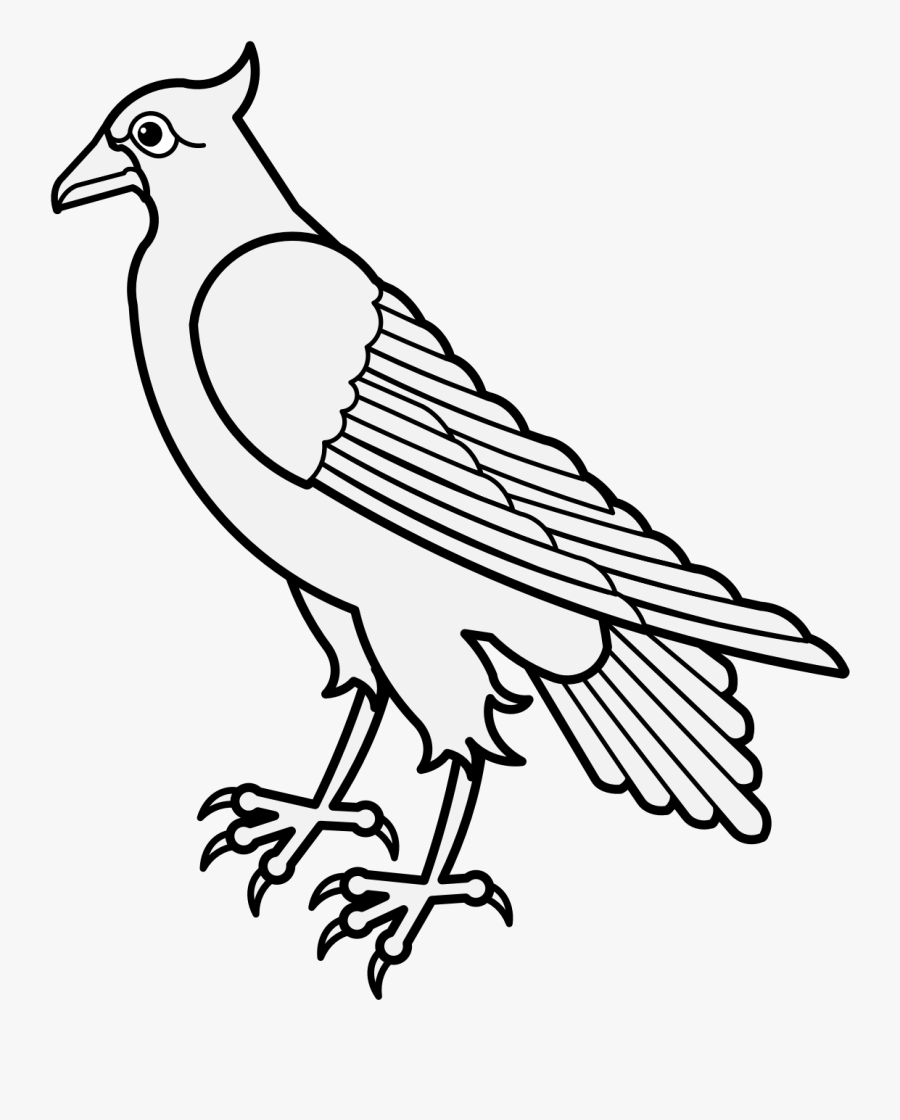 Dove Clipart Traceable - Osprey, Transparent Clipart