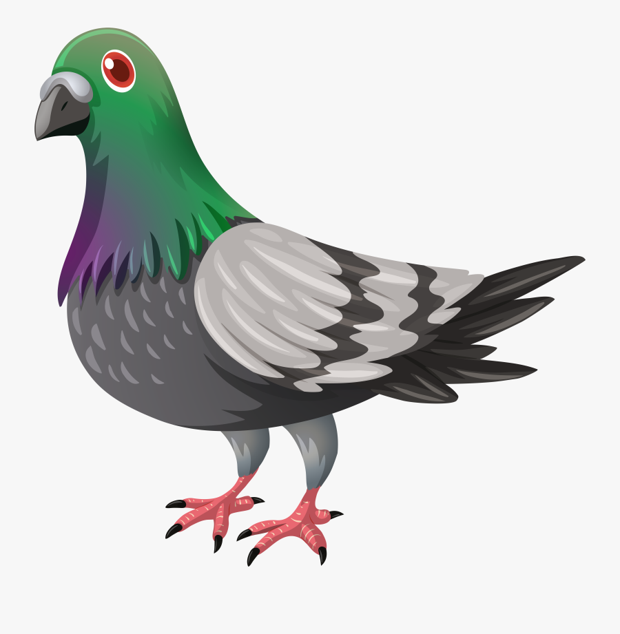 Dove Clipart Dove Bird, Transparent Clipart