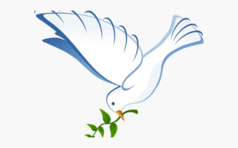 White Dove Clipart Vector - White Dove, Transparent Clipart