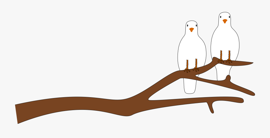 Mourning Dove Clipart Animated - Clipart Branch, Transparent Clipart